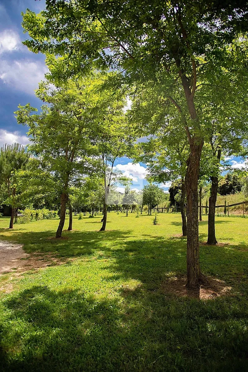Sabran, Occitanie, France. - Photo 20