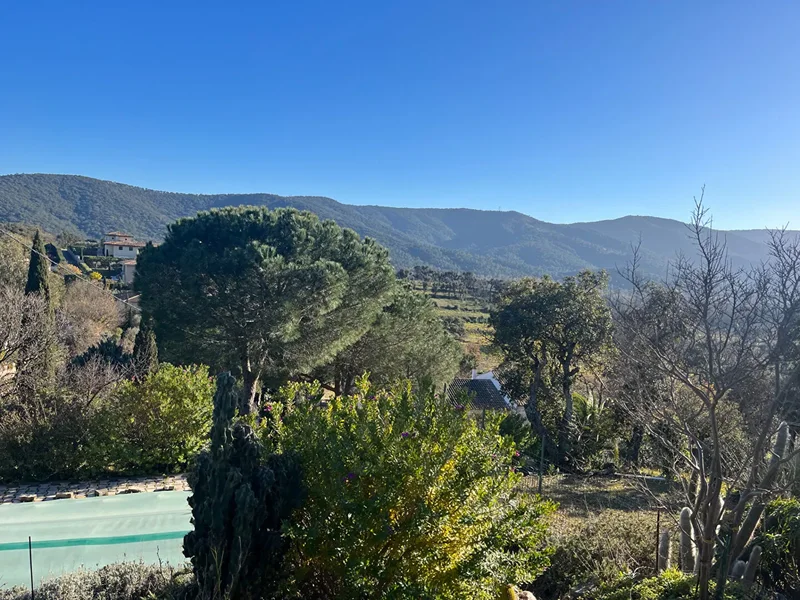 Cogolin, Provence-Alpes-Côte d'Azur, France. - Photo 8
