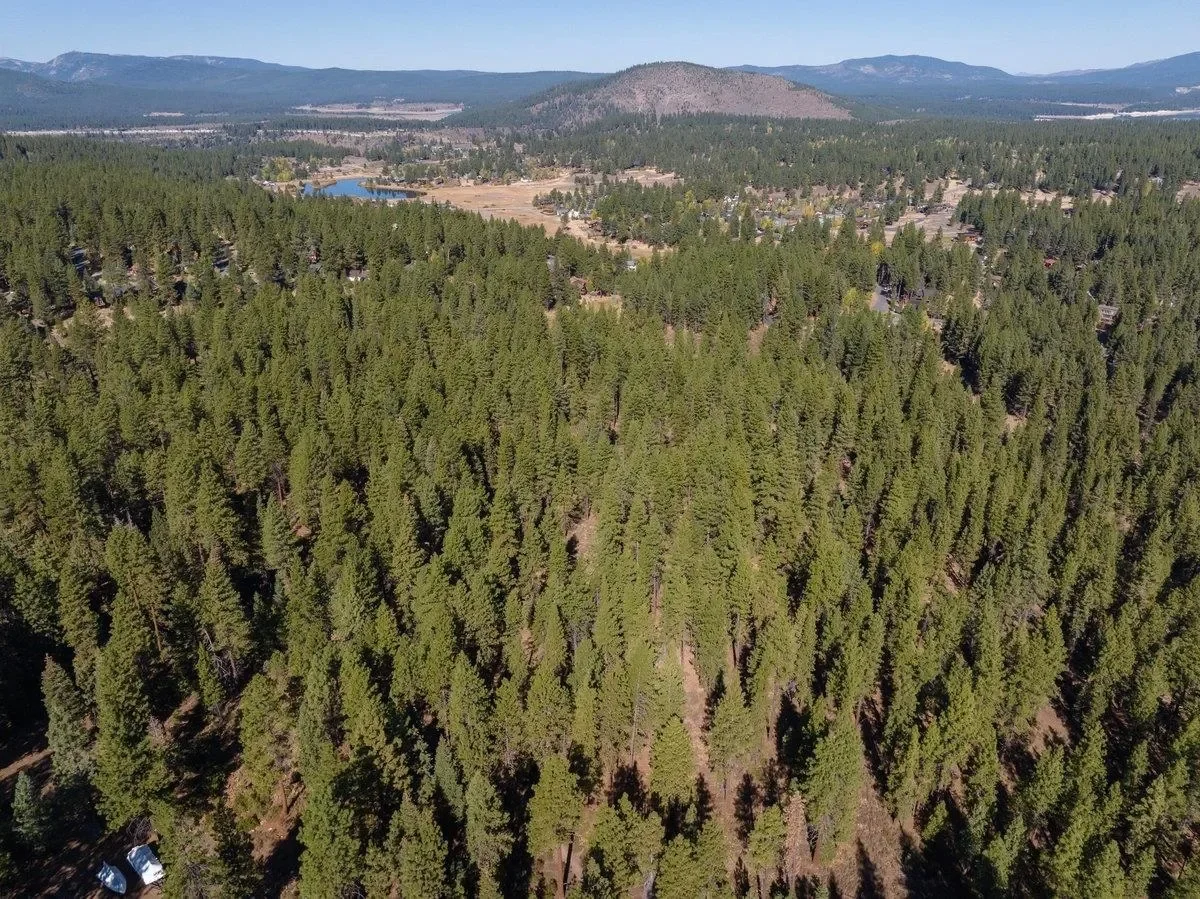 10719 Regency Circle, Truckee, California, United States. - Photo 3