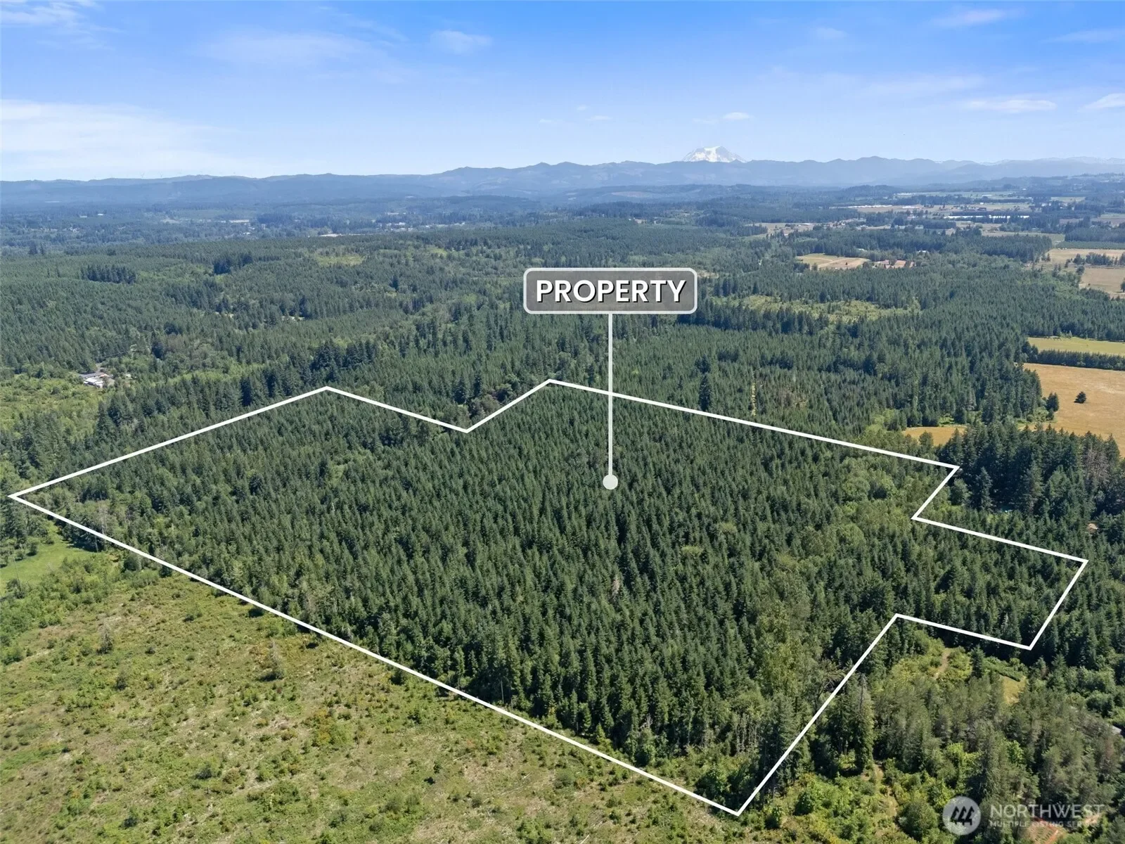 0 Kiser, Ethel, WA 98542, Chehalis, Washington, United States. - Photo 4