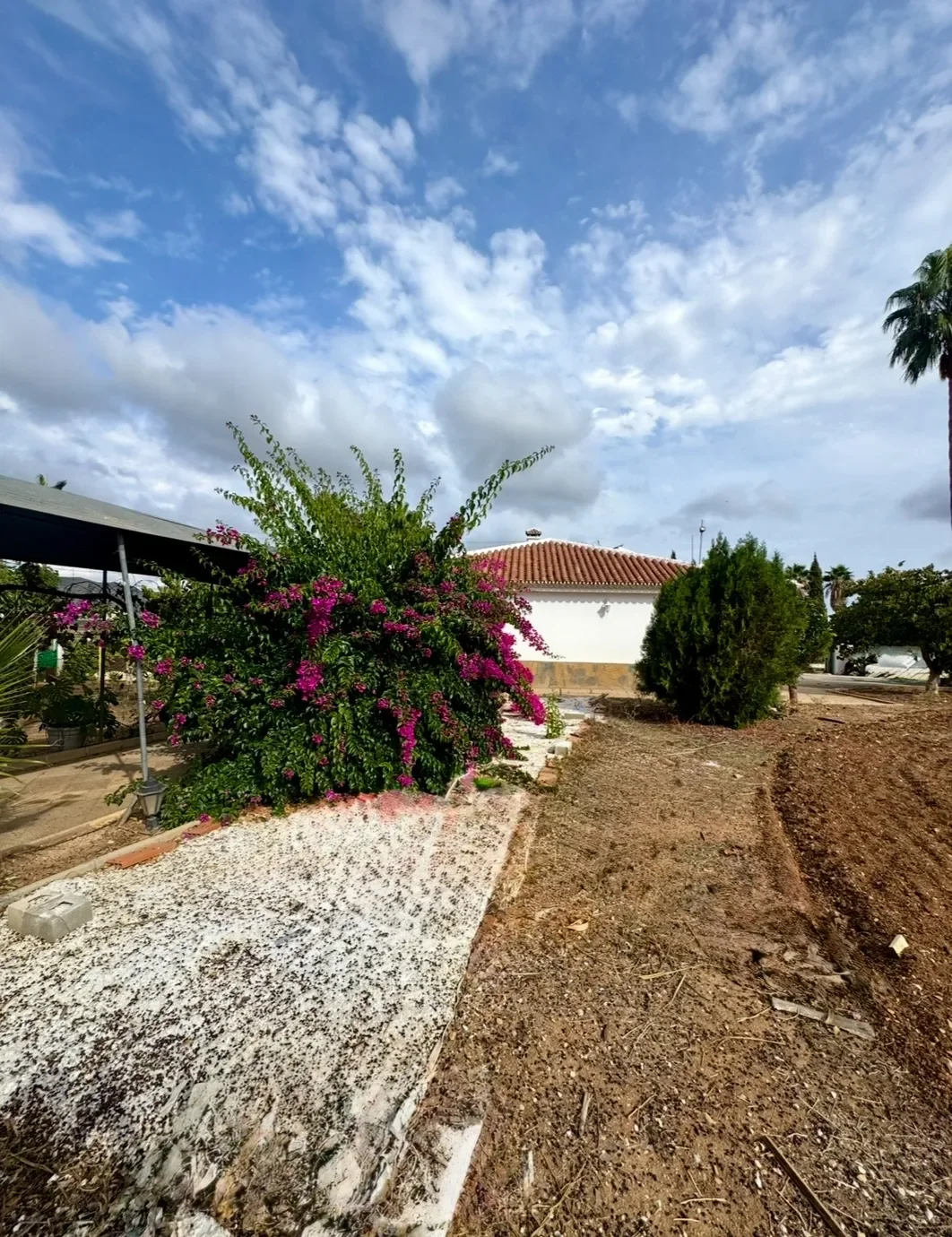 Exterior photo 4