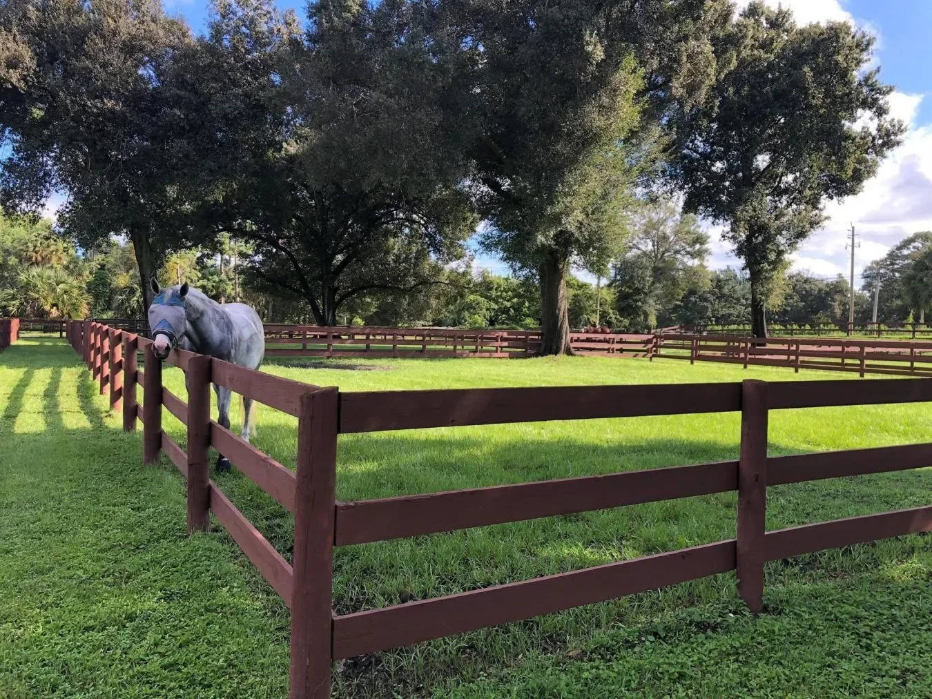 2999 C Road, Loxahatchee, Florida, United States. - Photo 23