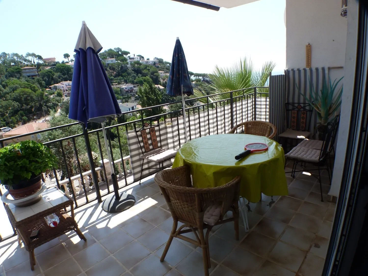 Serra Brava, Lloret de Mar, GIRONA, Lloret de Mar, Lloret de Mar, Catalonia, Spain. - Photo 11
