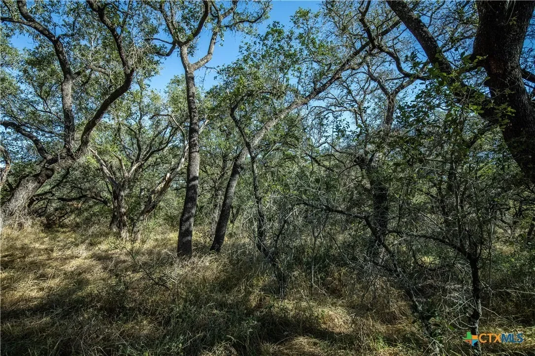 21123 Lamm Road, Elmendorf, TX 78112, Elmendorf, Texas, United States. - Photo 34