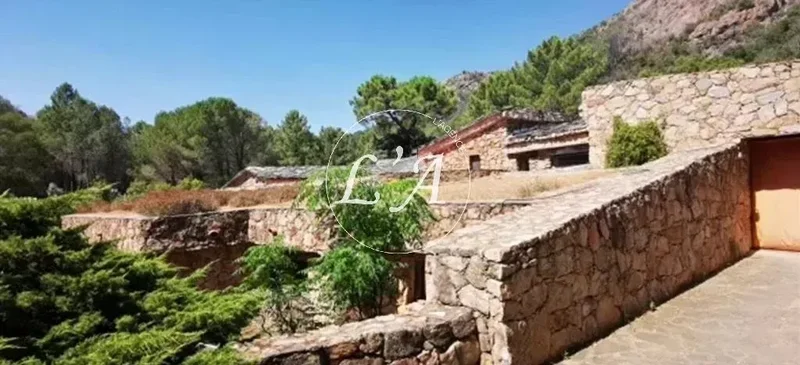 Sari-Solenzara, Corsica, France. - Photo 17