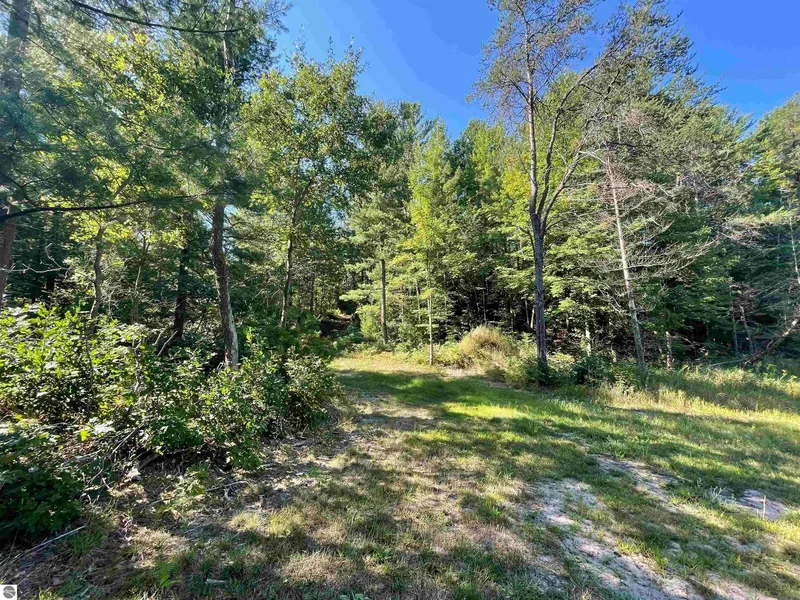 2492 E Fir Road, Harrison, MI 48625, Harrison, Michigan, United States. - Photo 72