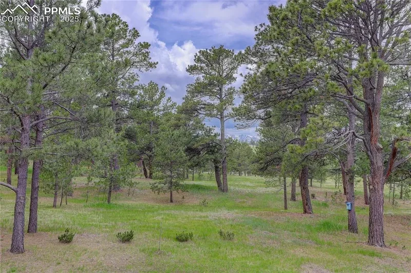 14810 Herring Road, Colorado Springs, CO 80908, Colorado Springs, Colorado, United States. - Photo 13