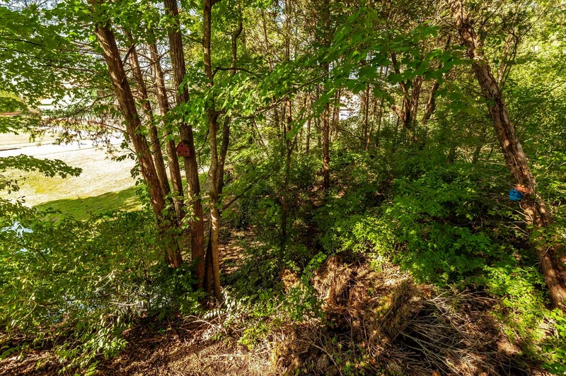 201 Amana Dr, Lebanon, Tennessee, United States. - Photo 76