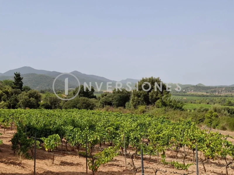 Cataluña, Vimbodi, TARRAGONA, Vimbodi, Vimbodi i Poblet, Catalonia, Spain. - Photo 74