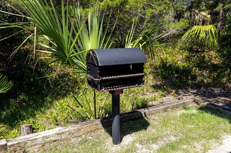 Santa Rosa Beach, Florida, United States. - Photo 62
