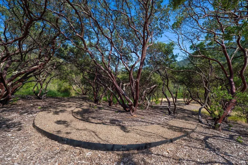 5270 Dry Creek Rd, Napa, CA 94558, Napa, California, United States. - Photo 39