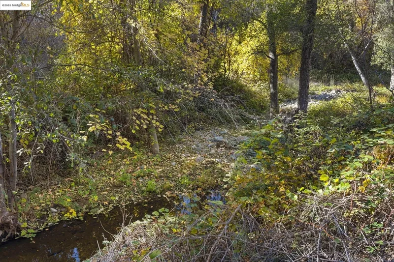 Sonora, CA 95370, Sonora, California, United States. - Photo 22