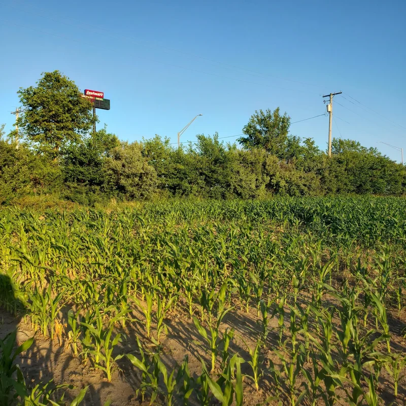 0 N Urbana Lisbon Road, South Vienna, OH 45369, South Vienna, Ohio, United States. - Photo 17