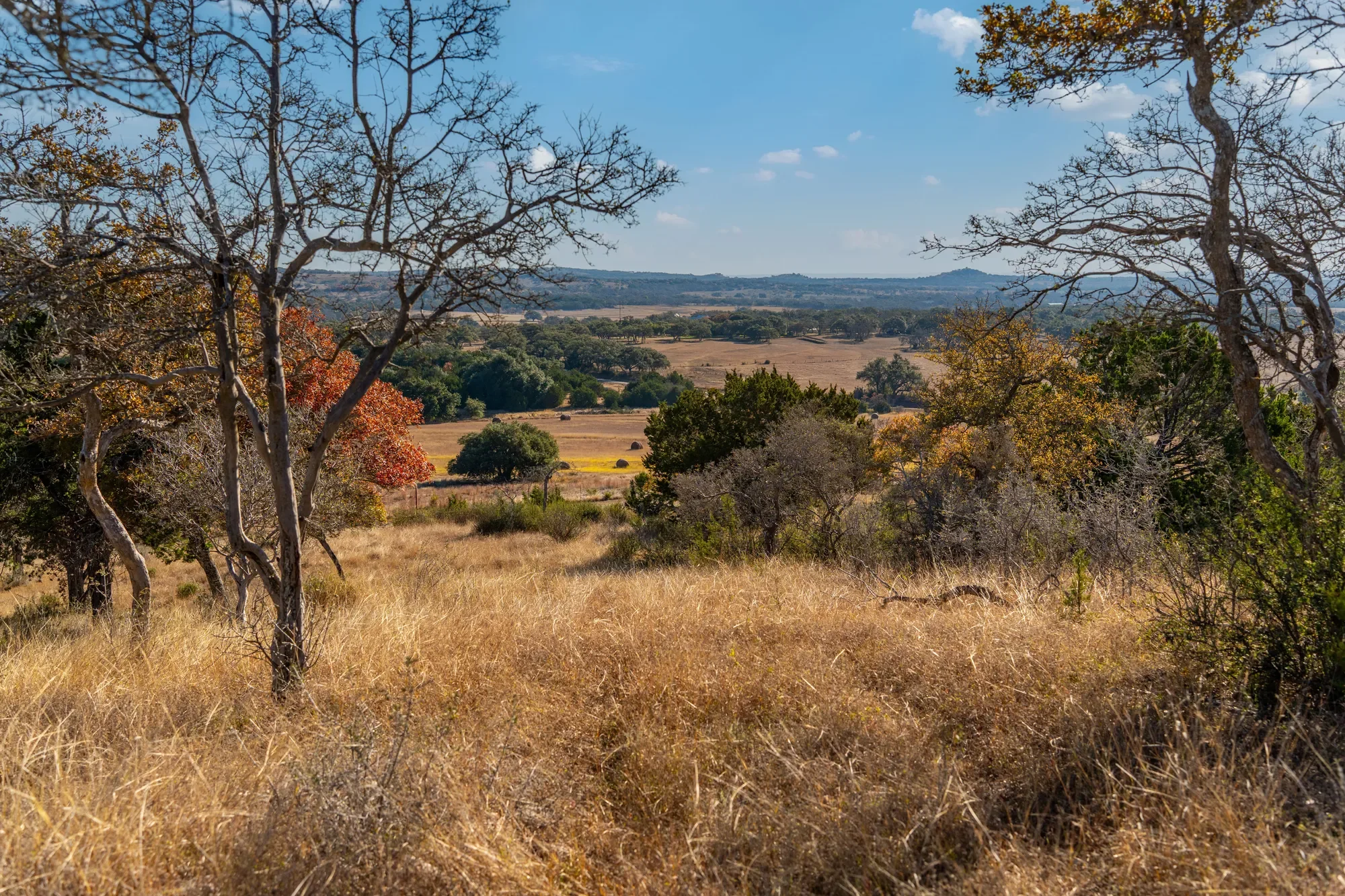 196 Hermit Hill Road , Fredericksburg, TX 78624, Fredericksburg, Texas, United States. - Photo 2