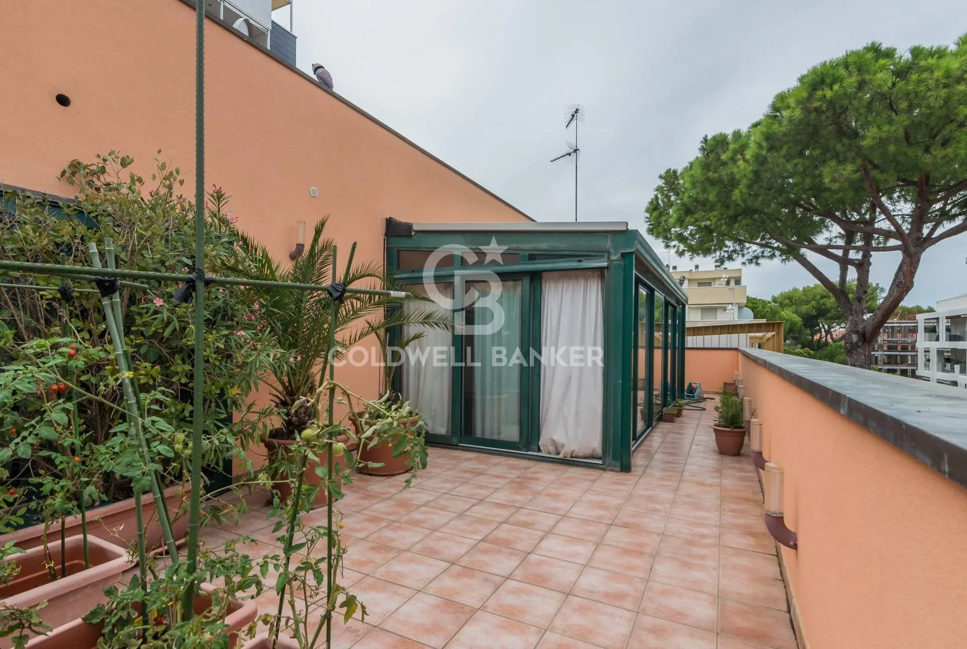 Viale Orazio, Riccione, Emilia-Romagna, Italy. - Photo 18