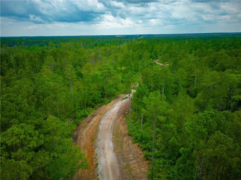 1 Coastal Estates Drive, Brunswick, GA 31525, Brunswick, Georgia, United States. - Photo 5