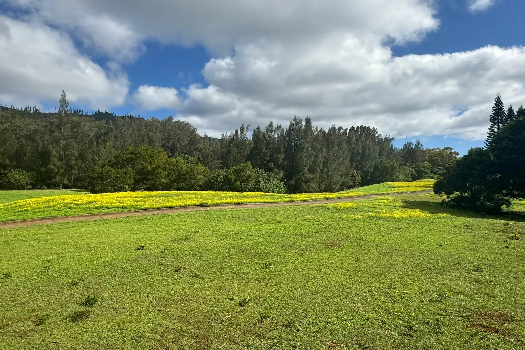 240 Kaunaoa Drive, Lanai City, HI 96763, Lanai City, Hawaii, United States. - Photo 3
