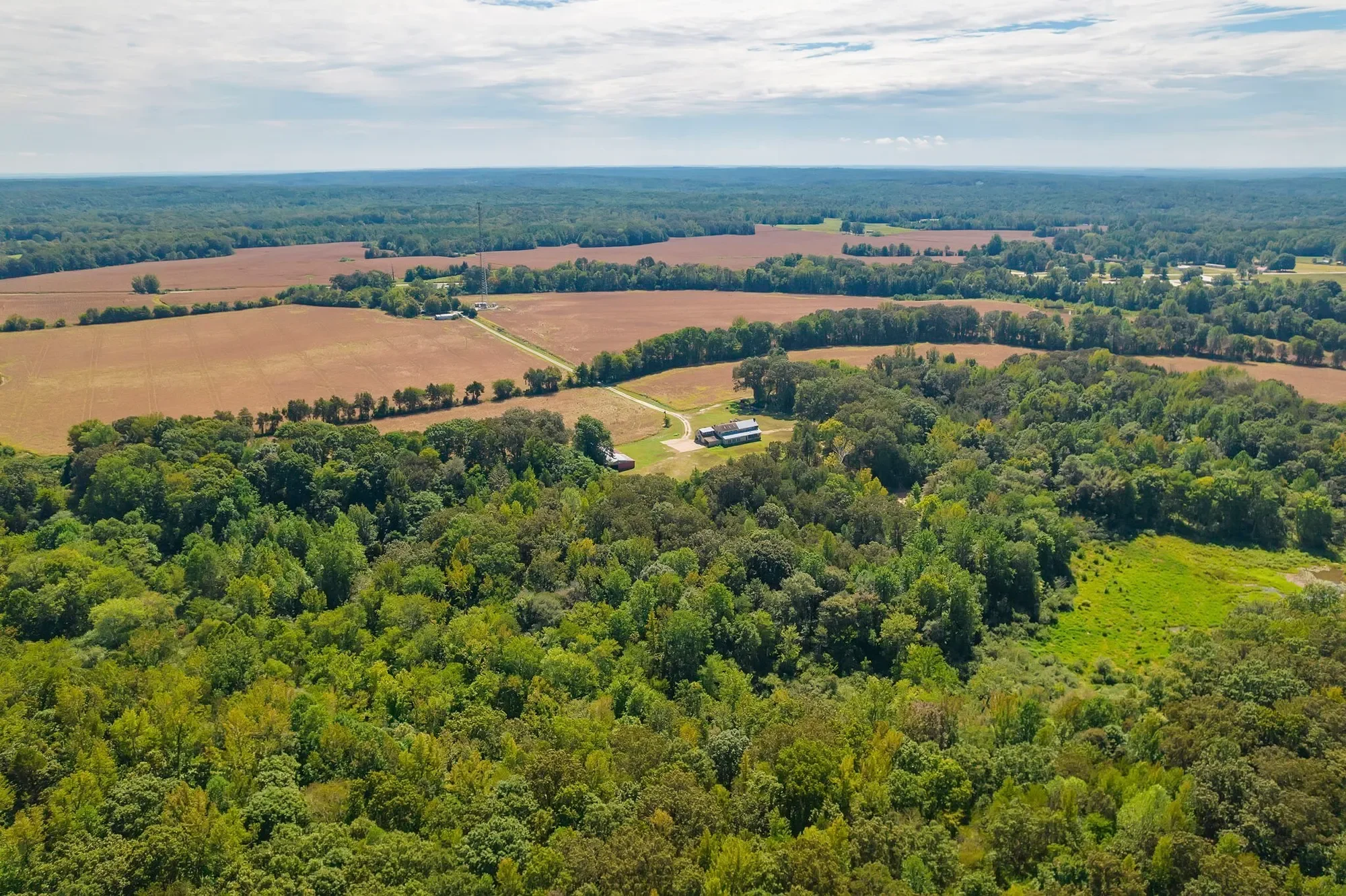 290 Leeford Ln , Cedar Grove, TN 38321, Cedar Grove, Tennessee, United States. - Photo 5