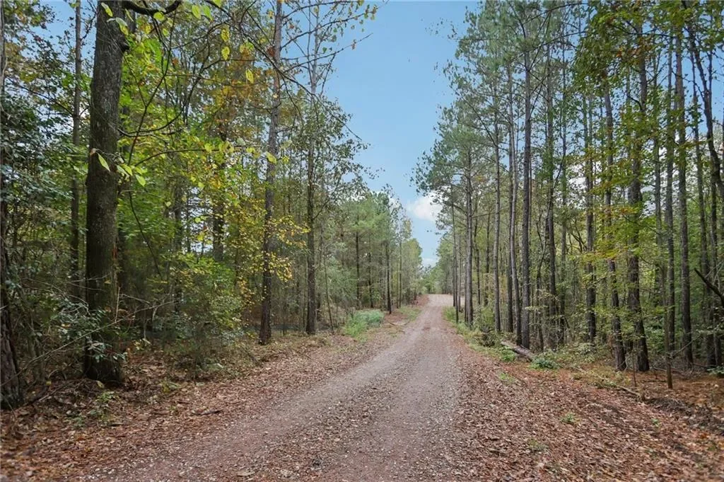 5467 Highway 162 S, Covington, Georgia, United States. - Photo 14