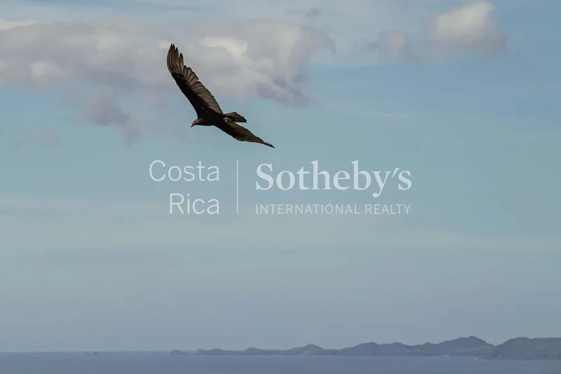 Santa Elena, La Cruz, G, Liberia, Costa Rica. - Photo 46