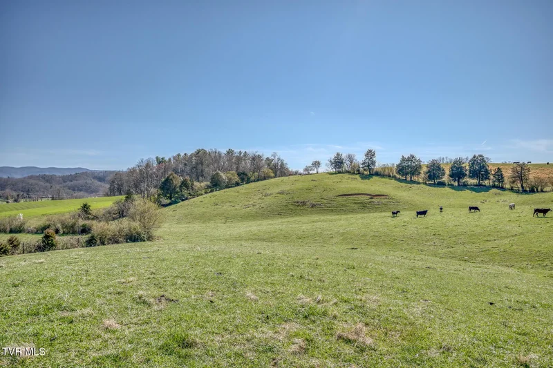 Tbd Highway 44 #Lot 7, Bristol, TN 37620, Tyler, Texas, United States. - Photo 2