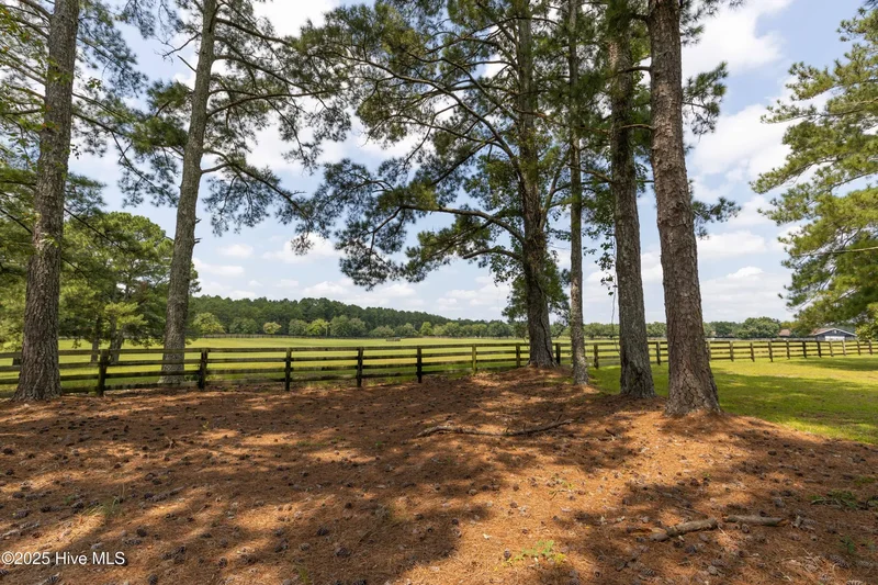 450 Addor Road, Aberdeen, NC 28315, Aberdeen, North Carolina, United States. - Photo 121