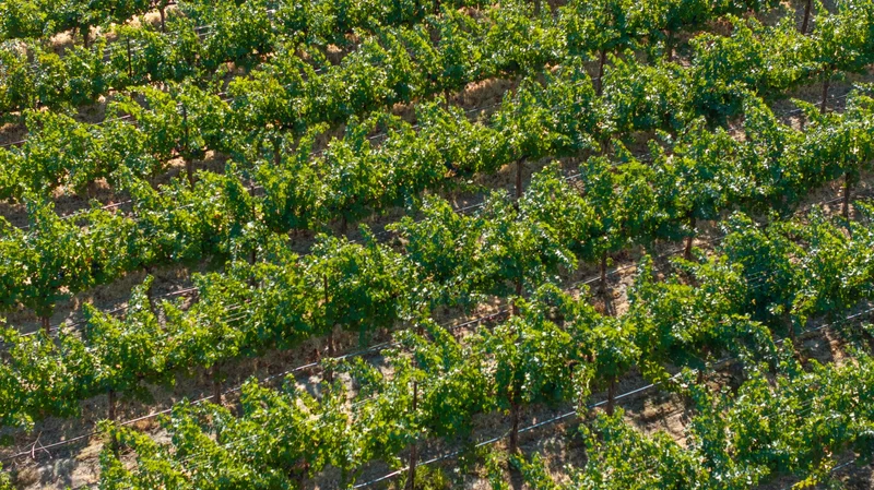NKA Goose Ridge Estates at Badger Mtn  South, Richland, WA 99352, Richland, Washington, United States. - Photo 3