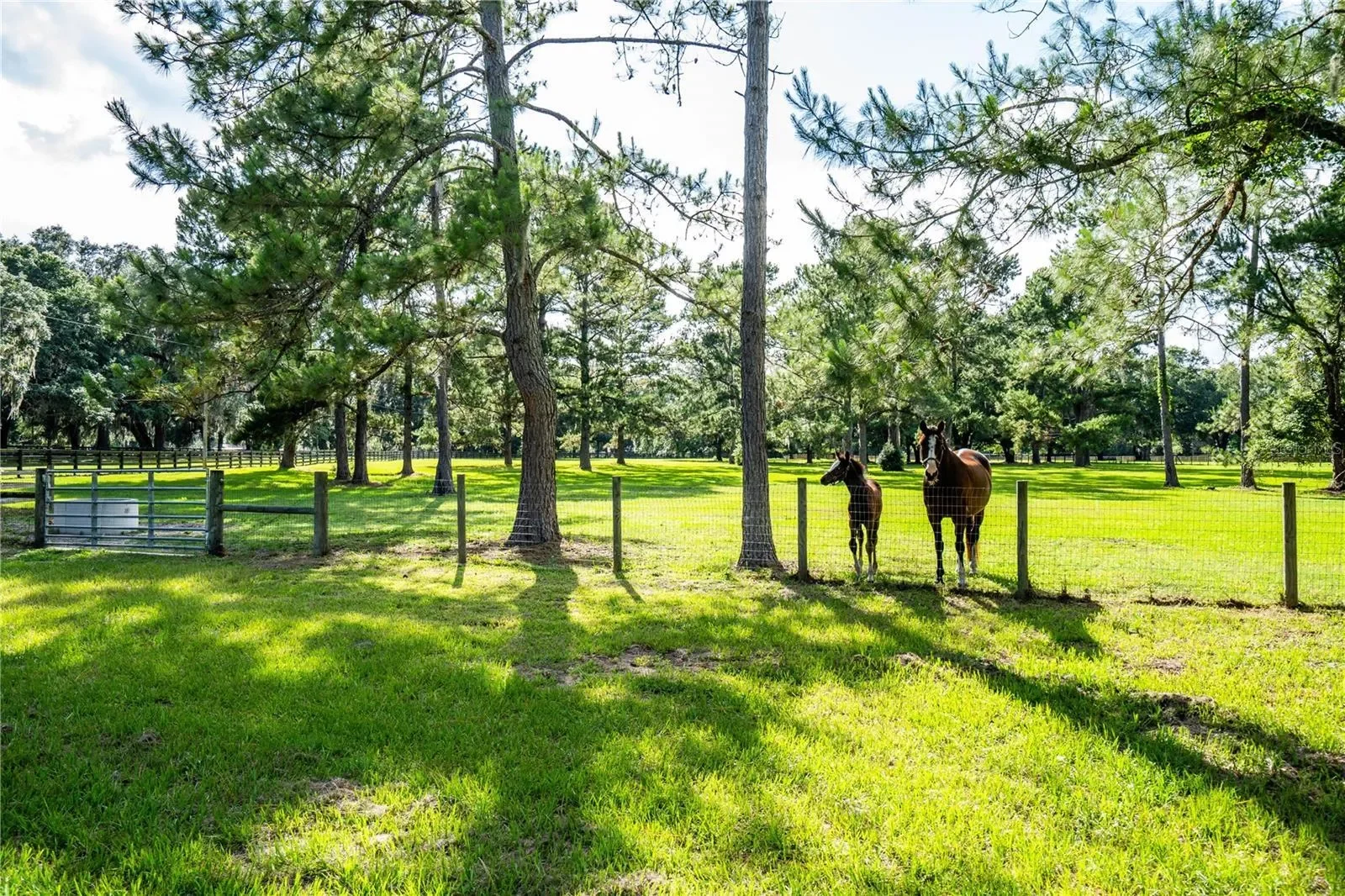 106 SE 175TH AVENUE, Micanopy, Florida, United States. - Photo 19