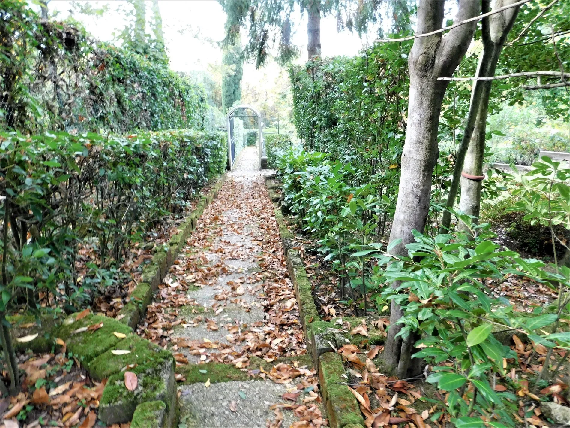 Exterior photo 6