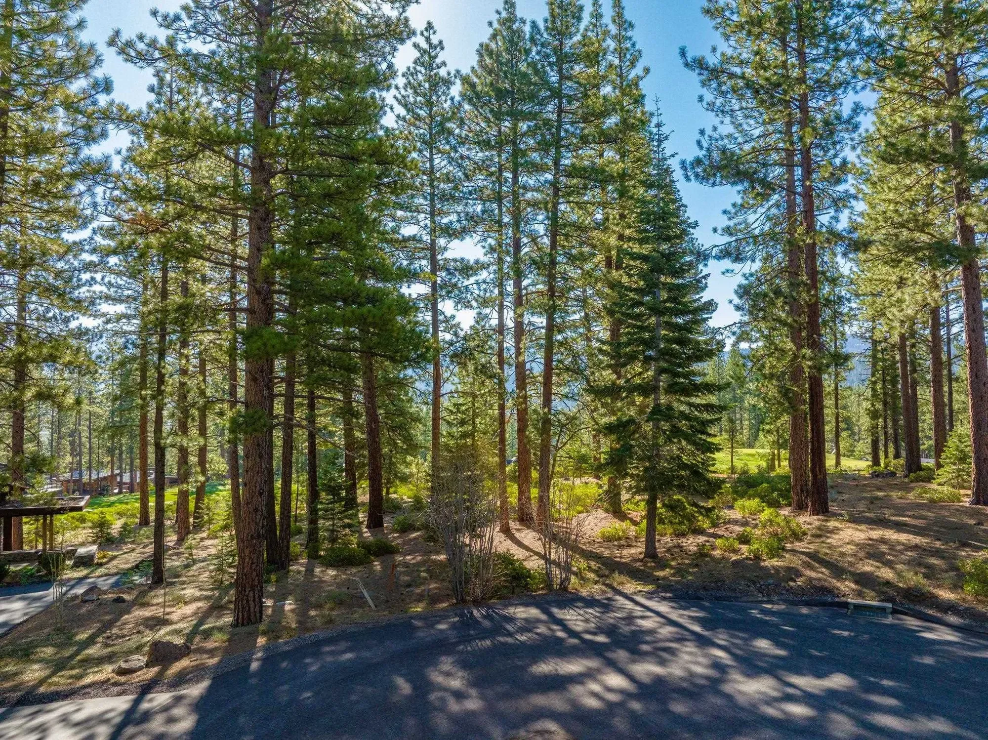 408 James McIver, Truckee, California, United States. - Photo 11