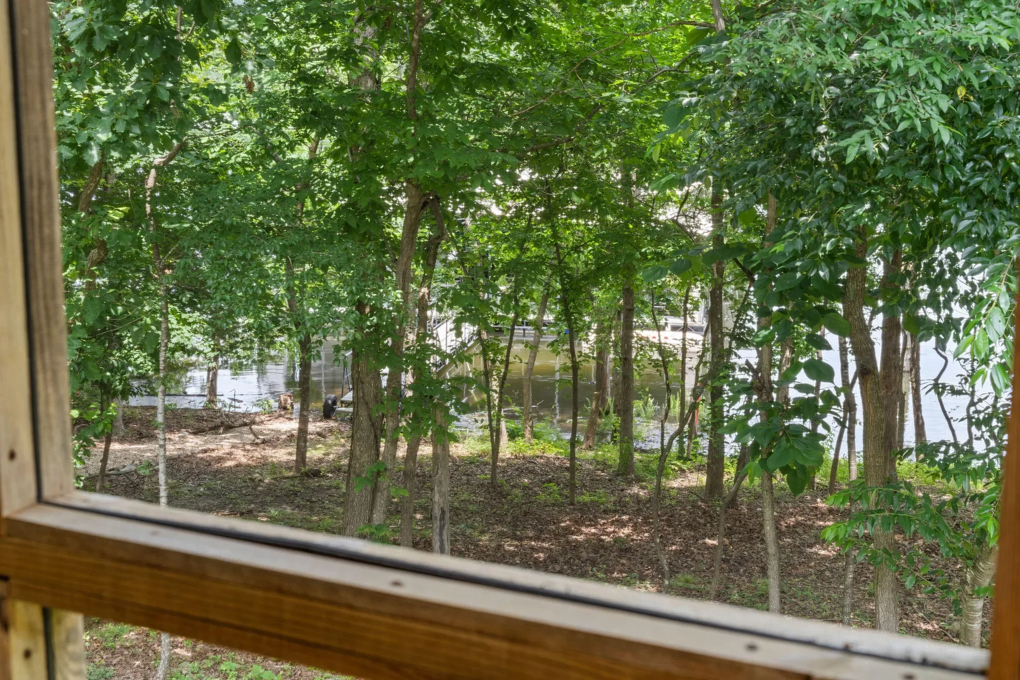 Gallery photo 12