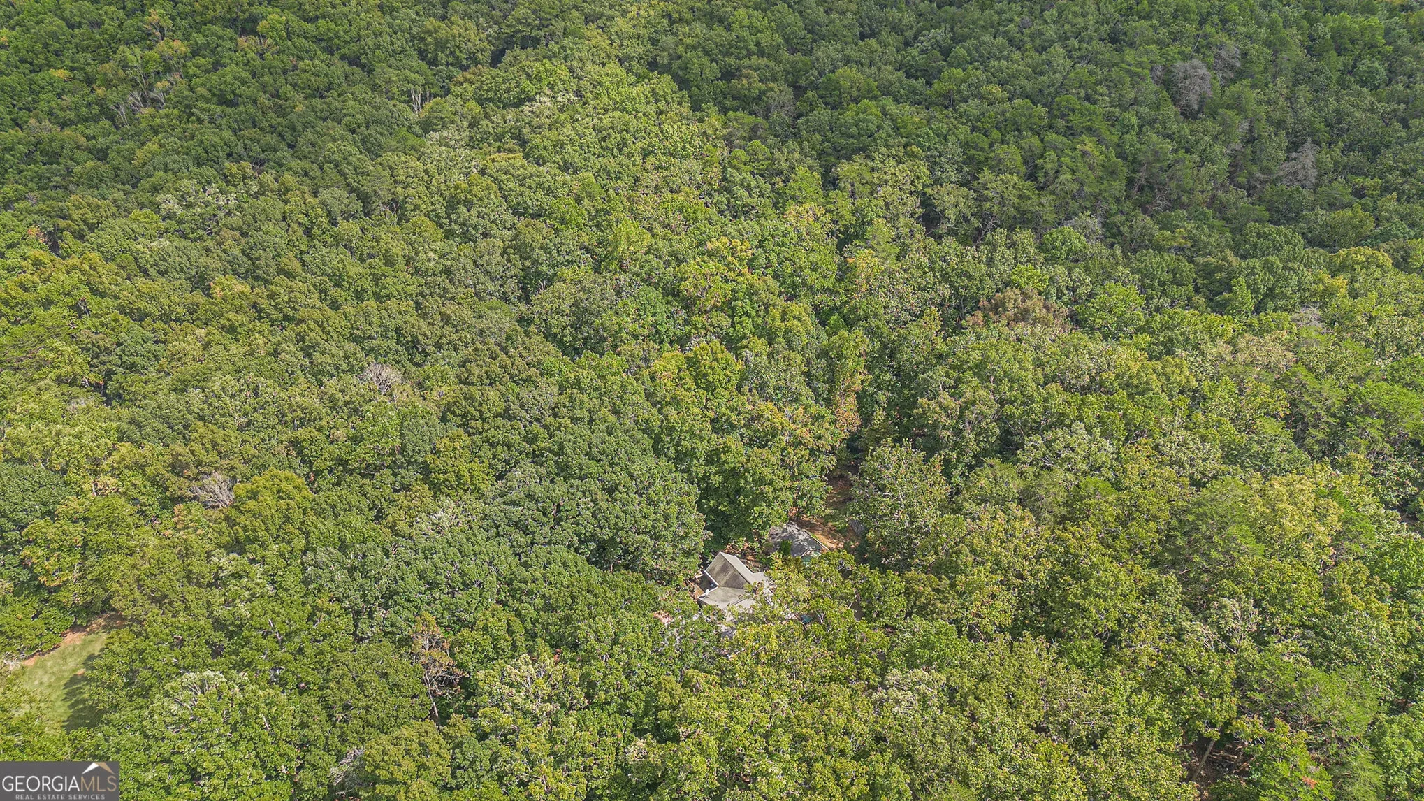 Aragon, Georgia, United States. - Photo 41