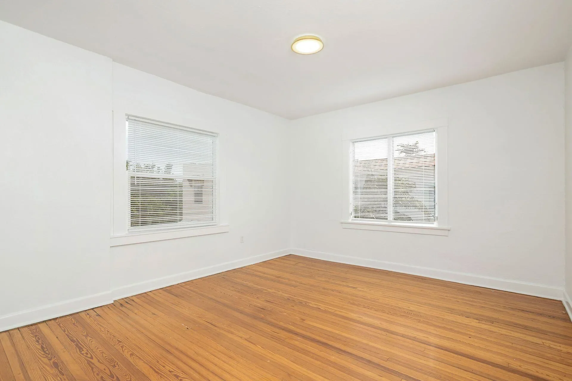 Gallery photo 11