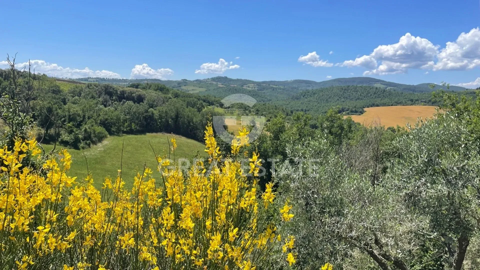 Umbria, Todi, Umbria, Italy. - Photo 41