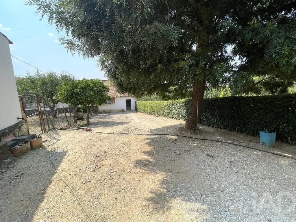 Gallery photo 3