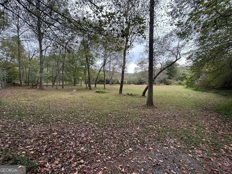 445 Twin Creeks Road, Blue Ridge, GA 30513, Blue Ridge, Georgia, United States. - Photo 73