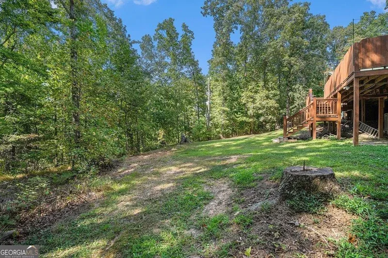 370 Davis Road, Blue Ridge, GA 30513, Blue Ridge, Georgia, United States. - Photo 45