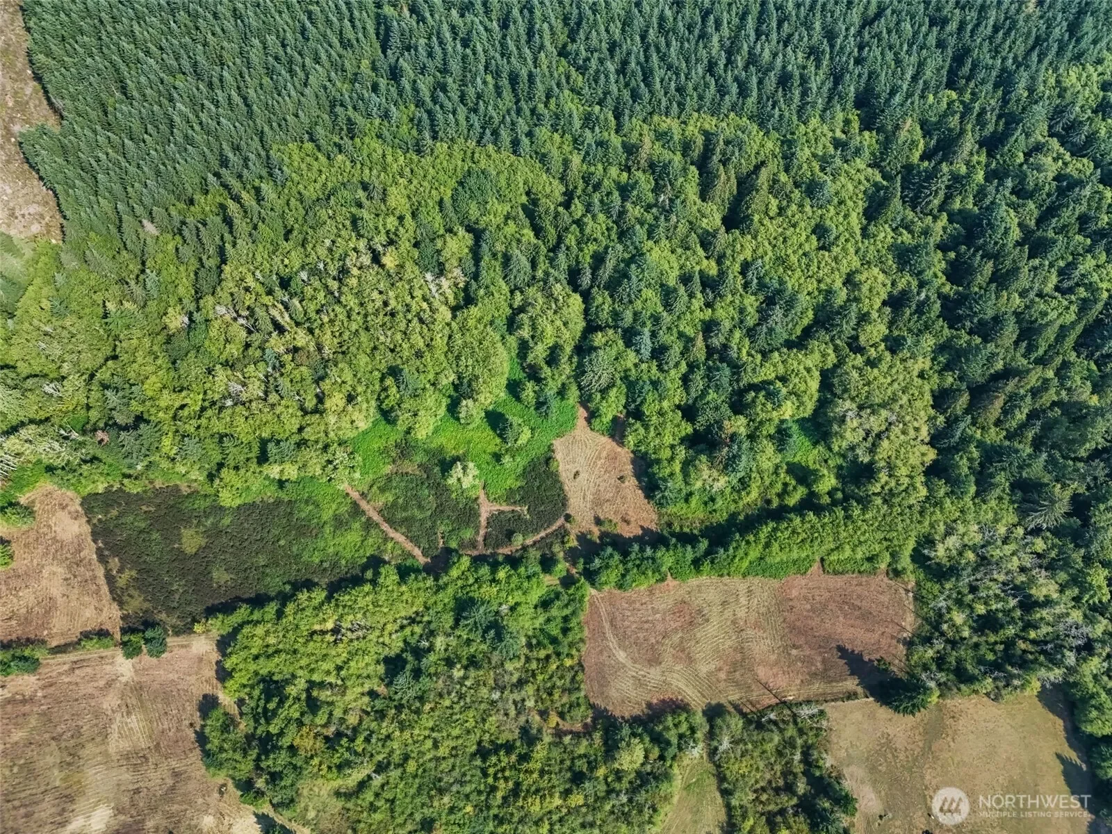 104 Bills Lane, Onalaska, WA 98570, Onalaska, Washington, United States. - Photo 28
