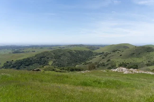 100 Old Stage Rd, San Juan Bautista, California, United States. - Photo 33