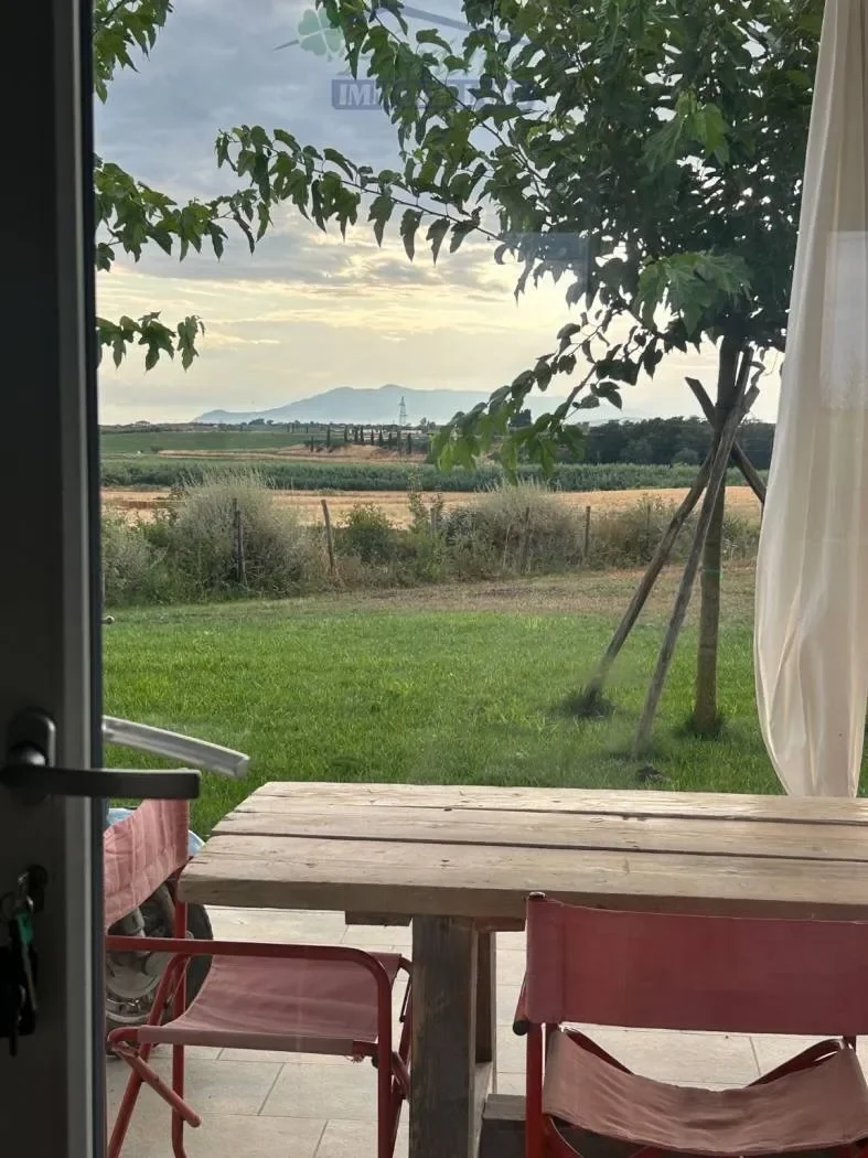 Strada Tavolaro, Montalto di Castro, Lazio, Italy. - Photo 46
