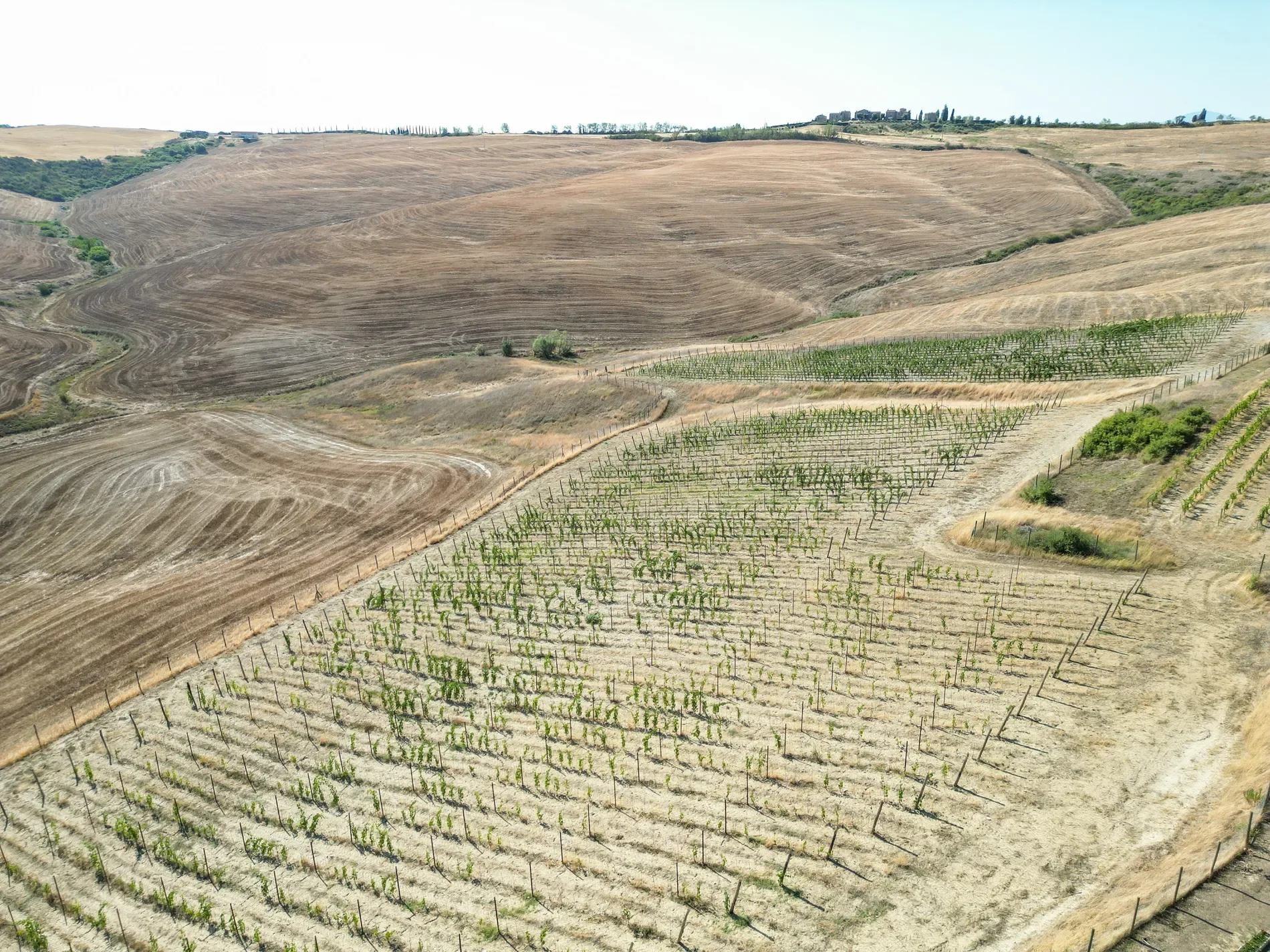 53024 Montalcino, Province of Siena, Italy, Castelnuovo dell’Abate, Tuscany, Italy. - Photo 72