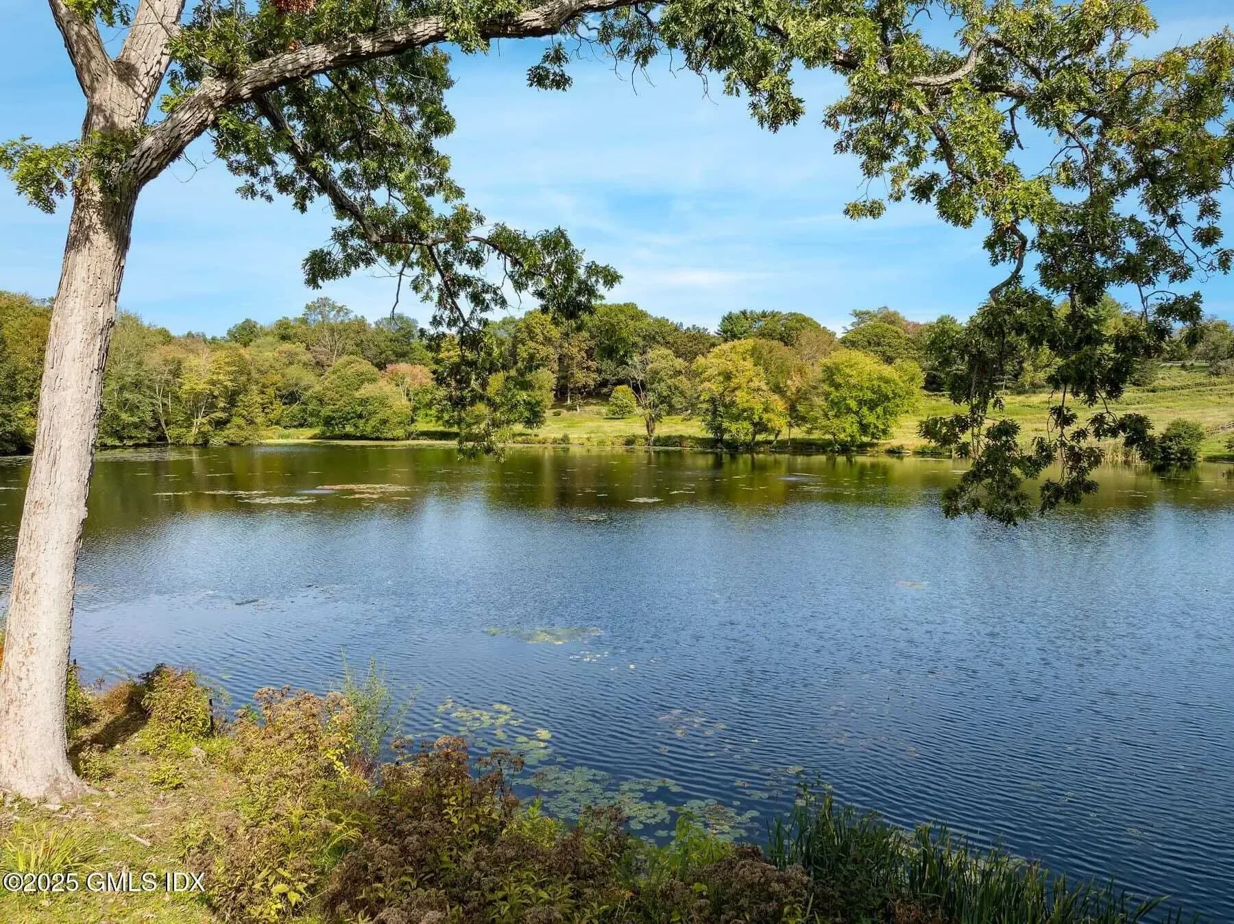 65 John Street, Greenwich, CT, 06831, USA, Greenwich, Connecticut, United States. - Photo 5