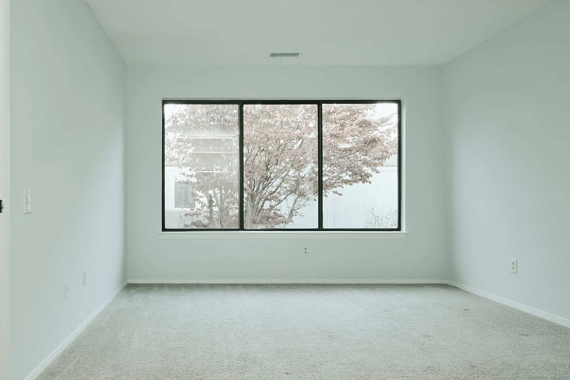 Gallery photo 11