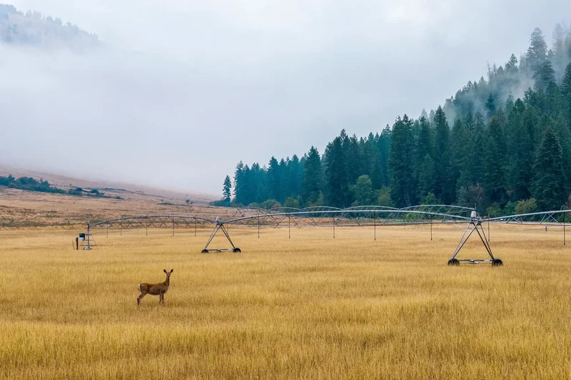 361 Lone Ranch Creek, Curlew, WA, 99121, USA, Danville, Washington, United States. - Photo 7