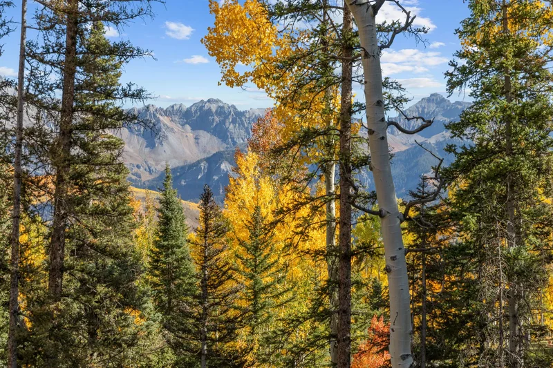 274 Benchmark Drive , Mountain Village, CO 81435, Mountain Village, Colorado, United States. - Photo 4