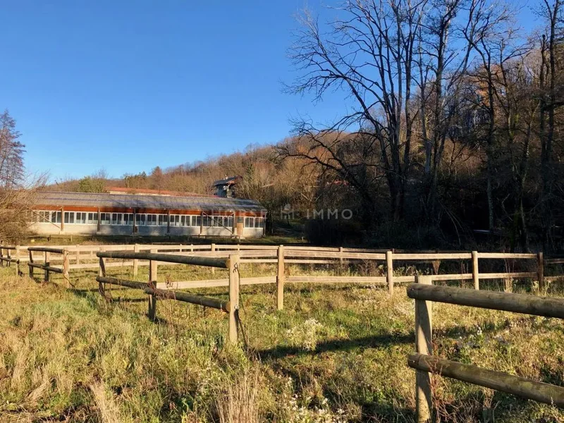 Burdignin, Auvergne-Rhône-Alpes, France. - Photo 9