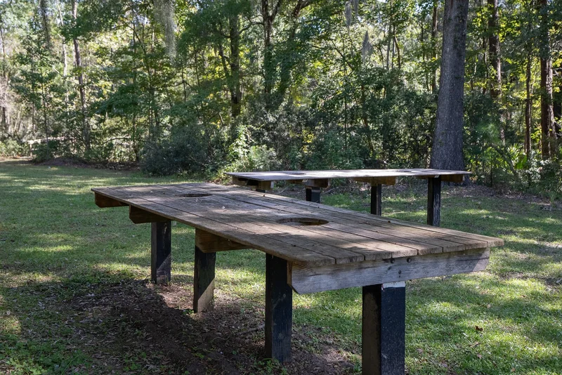 3924 Gift Boulevard, Johns Island, SC 29455, Johns Island, South Carolina, United States. - Photo 90
