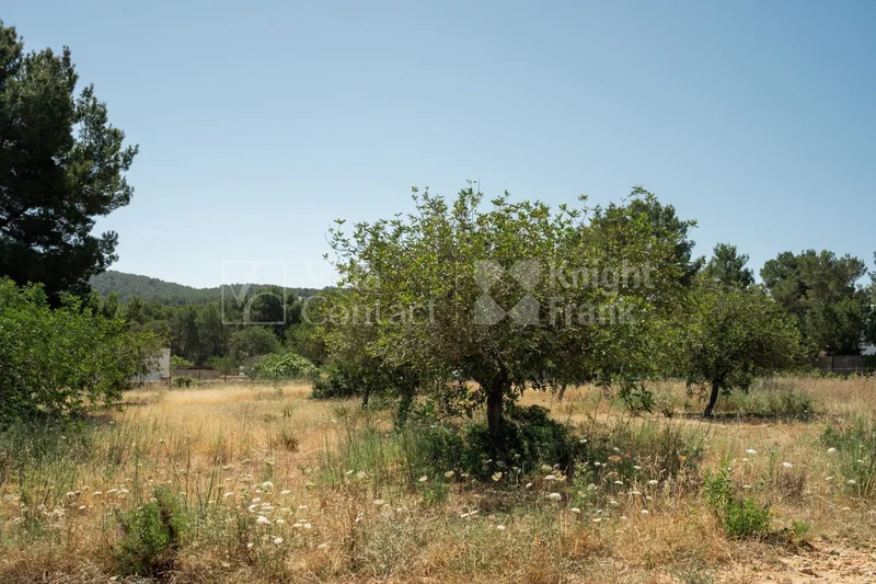 Santa Eularia des Riu, Balearic Islands, Spain. - Photo 27