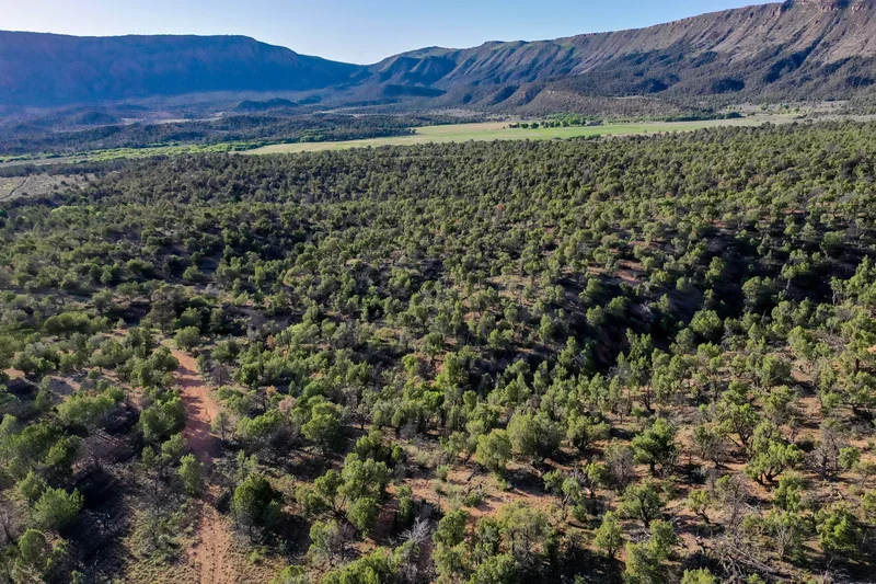 Sinbad Ranch , Gateway, CO 81522, Gateway, Colorado, United States. - Photo 35