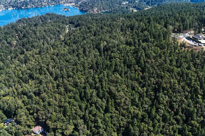 Lot 2 Willis Point Road, Central Saanich, BC V9E 2A2, Willis Point, British Columbia, Canada. - Photo 4